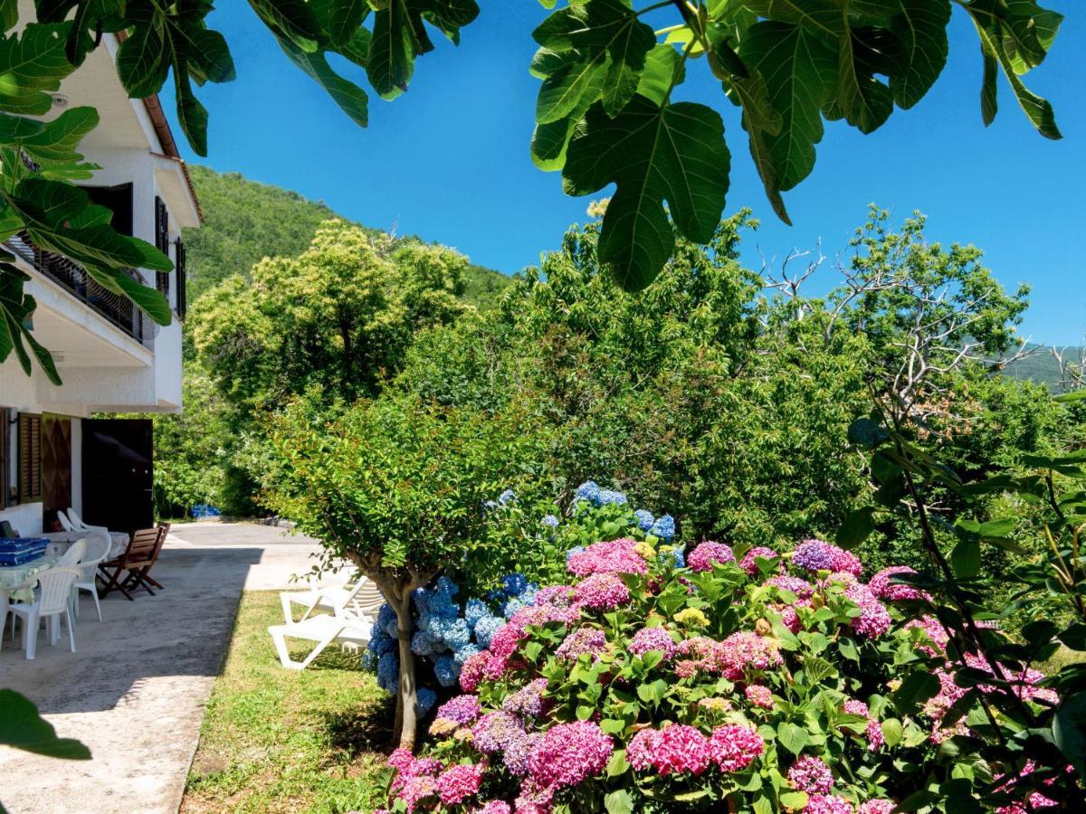 Appartamento Luka - Lov218 By Interhome *